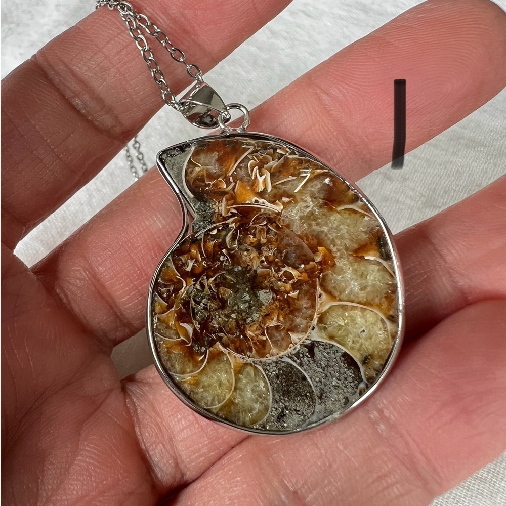 You choose! Past Life Recall Ammonite Fossil Pendant Necklace
